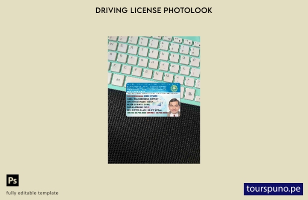 listo para imprimir Traducción internacional de licencia de conducir fotolook pl